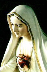 our lady of fatima image